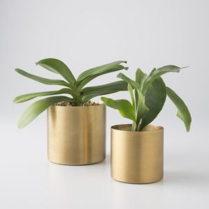 Brass pot for Plants in Matt finish