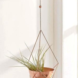 hanging planter