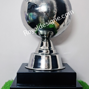 Globe Trophy Award